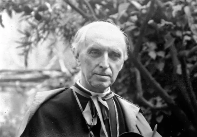 Cardinal Désiré Joseph Mercier presided over the original <a href='/org/?o=291'>Malines Conversation Group</a> in the early 1920s